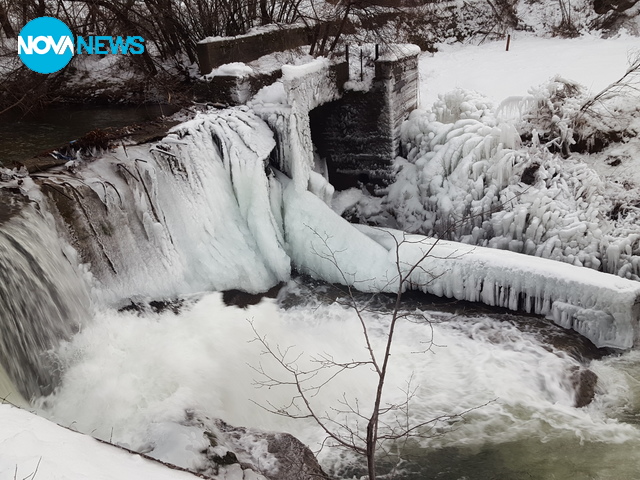 Зимна красота