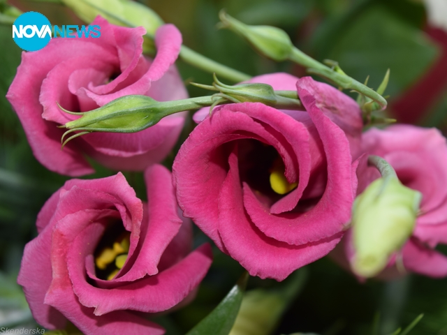 Прогноза за времето