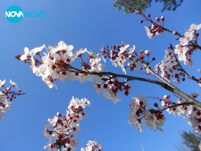 Пролетно настроение