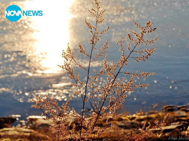 Прогноза за времето - 2