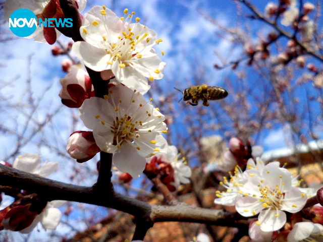 Пролетно настроение