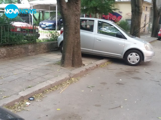 Нагъл водач на МПС
