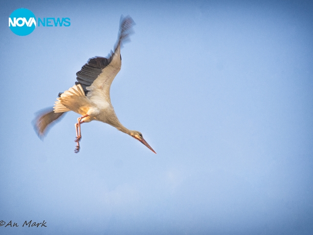 Прогноза за времето