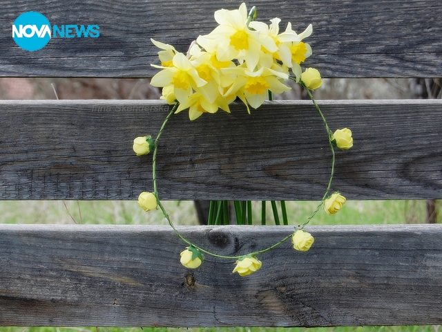 Прогноза за времето