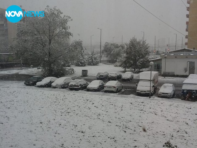 Честит първи сняг в София!