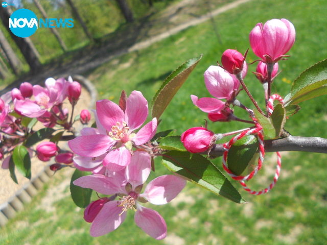 Пролетна нежност!