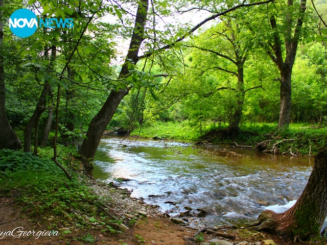 Сини вир с. Медвен -2