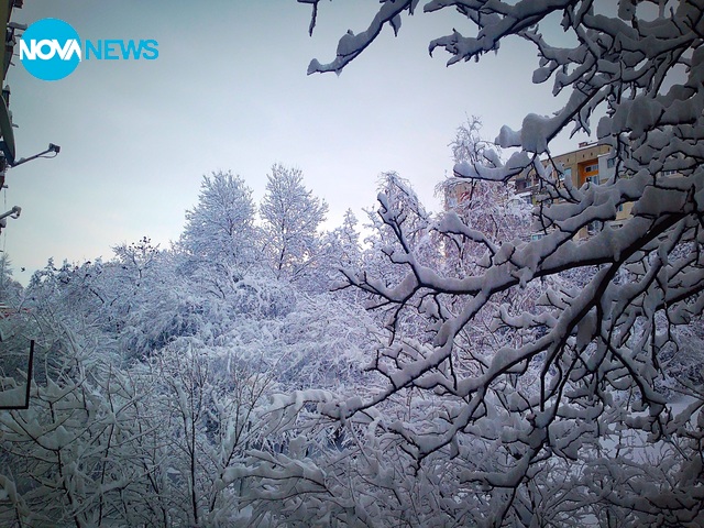 Зимна приказка