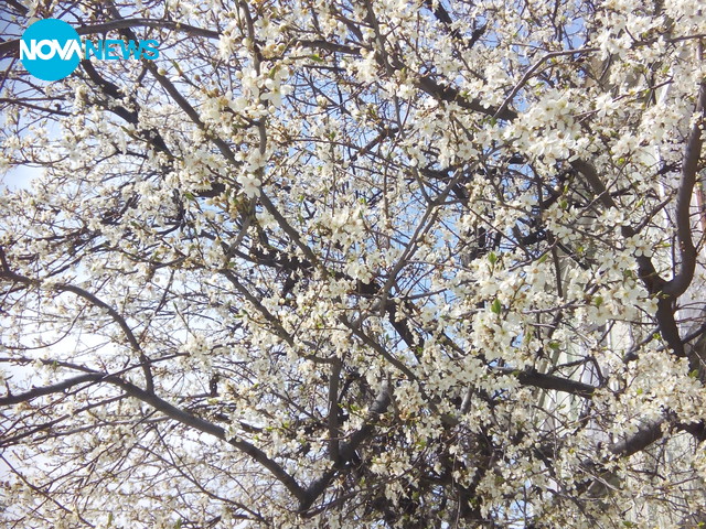 Честита пролет!