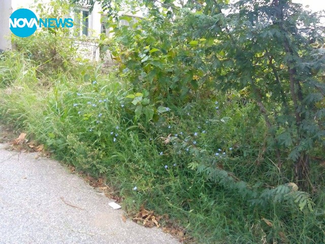 Безхаберие