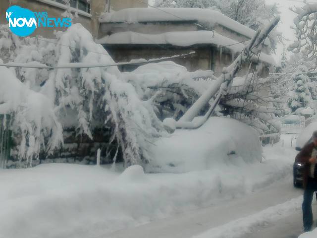 Непочистени тротоари в Русе