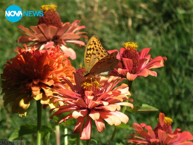 Настроение