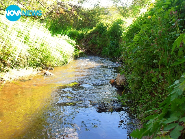 Една шуменска рекичка