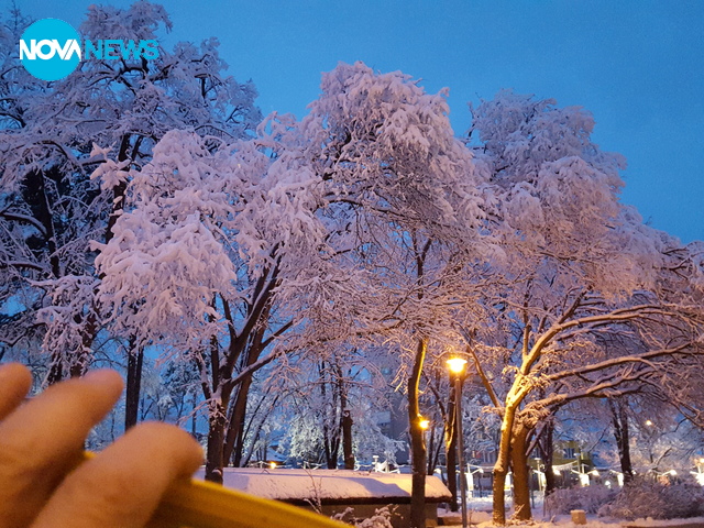 Снежен парк "Розариум"