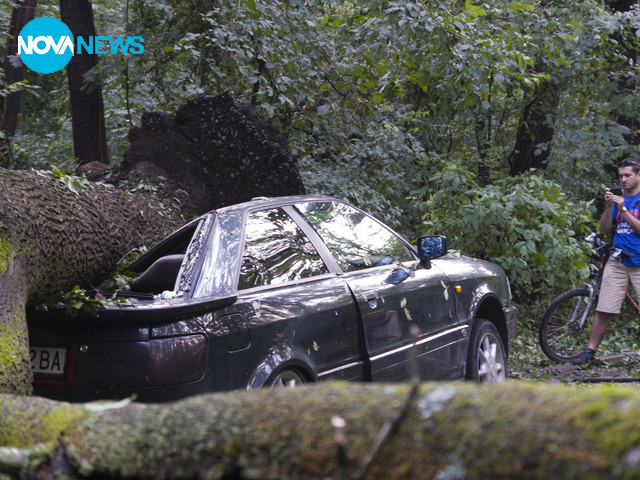 Смачкан автомобил в Борисовата градина