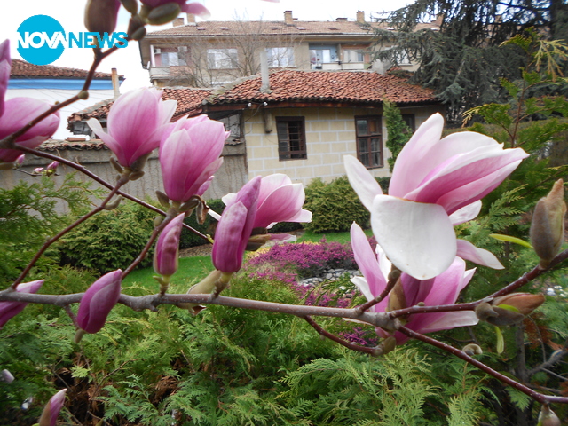 Полетно настроение