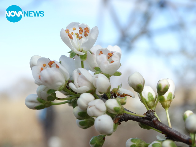 Ухае на пролет