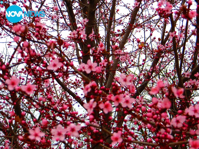 Пролет в града!