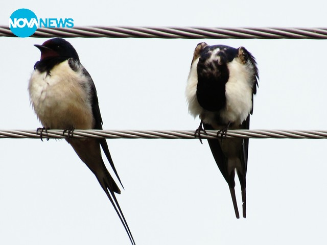 Молитва на разпети петък!