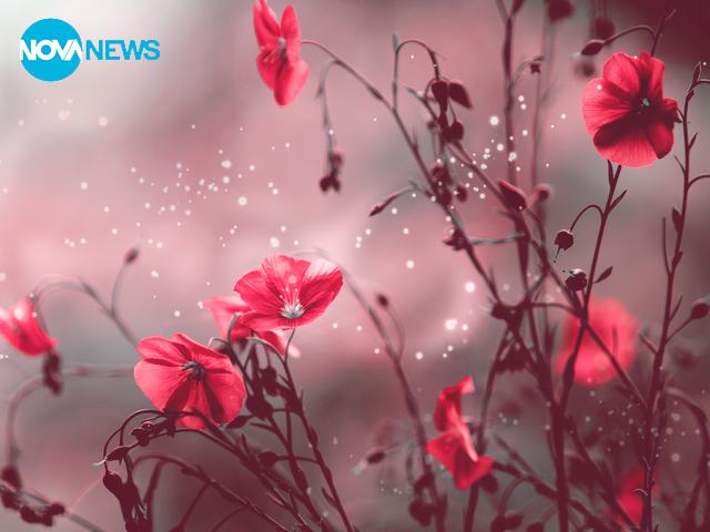 За прогнозата на времето