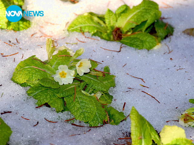 Прекрасен януарски ден с усещане за пролет!