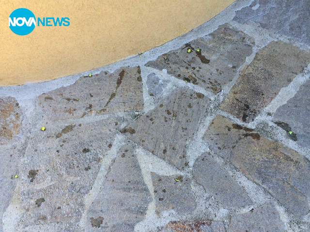 Опасни военни игри