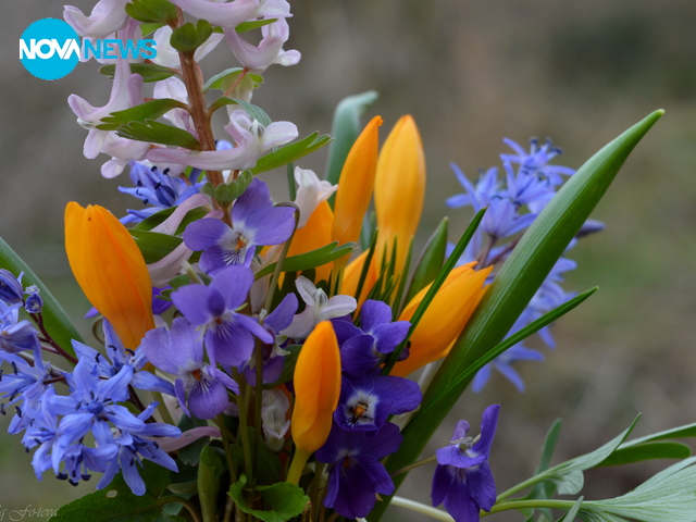 Празничен пролетен букет