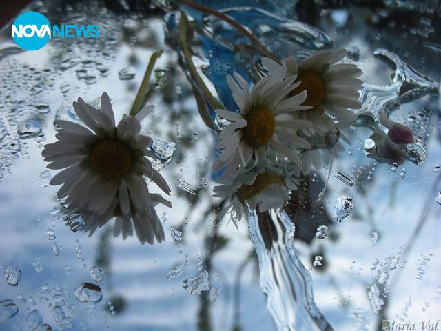 Прогноза за времето