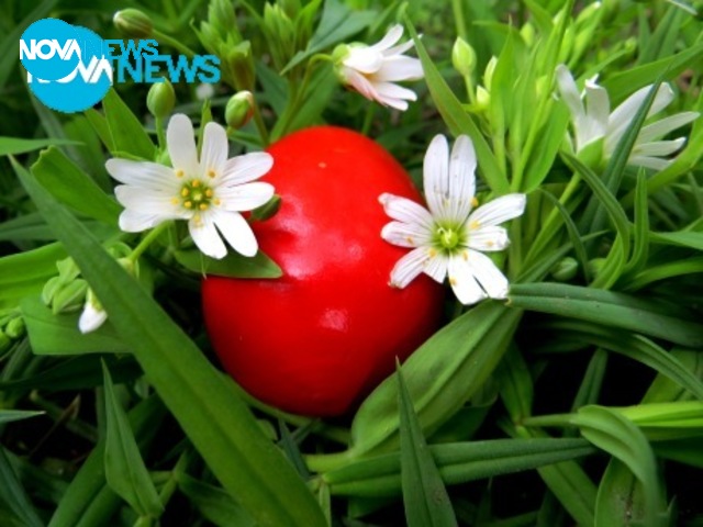 На Велики четвъртък боядисваме яйца