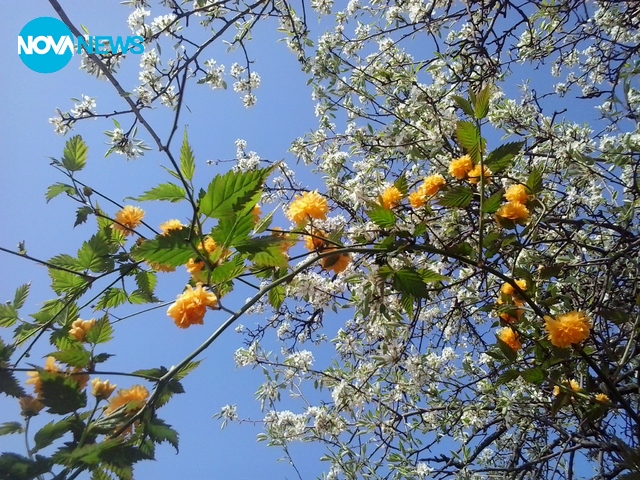 Среща на цветовете!