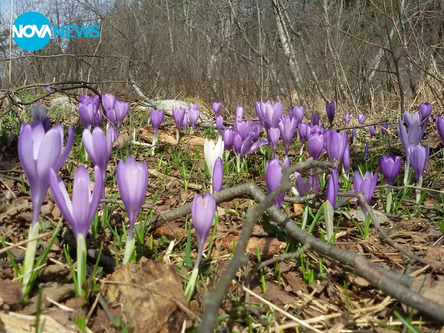 Ранна пролет в Рила