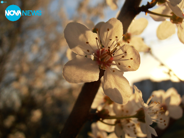 Преди залез