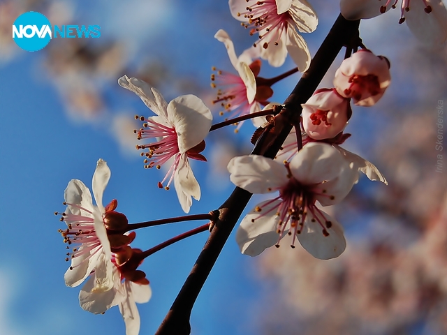 За прогнозата за времето
