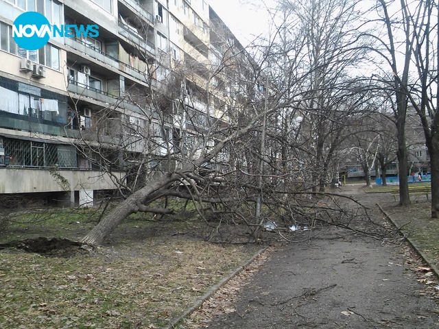 Вече 20 дни детска площадка в Русе изглежда така!
