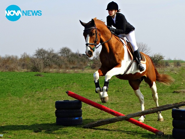 Снимки от днешния Тодоровден