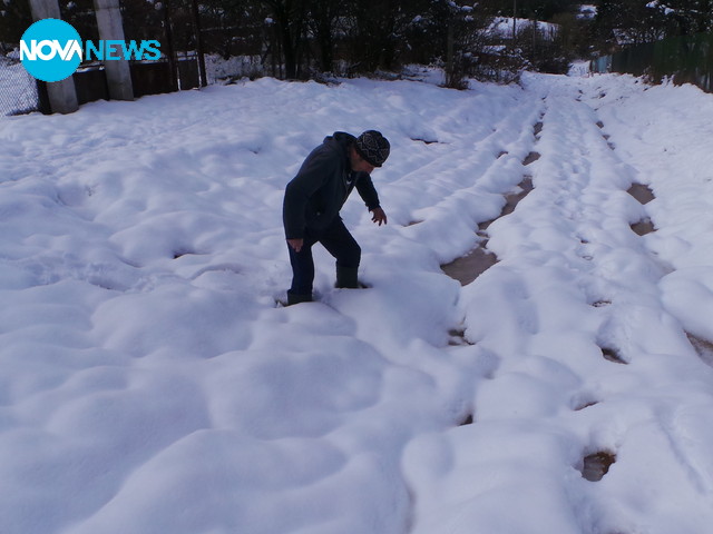 Мафията унищожава село Борика