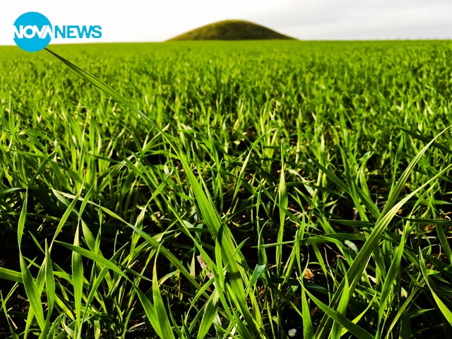 Очертава се цветна пролет