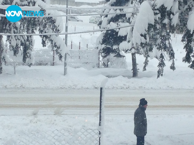 Ако видиш снегорин във Велинград, .... пожелай си нещо!!!