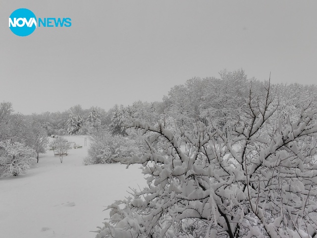 Не можаха да се научат да работят снегорините, както едно време