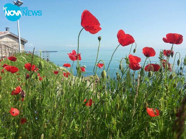 Великден на остров Св. Анастасия