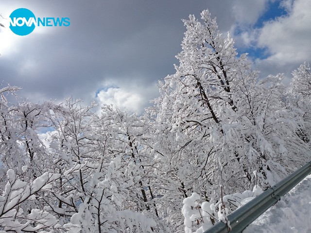 Пътят за едно свято място - Кръстова гора!