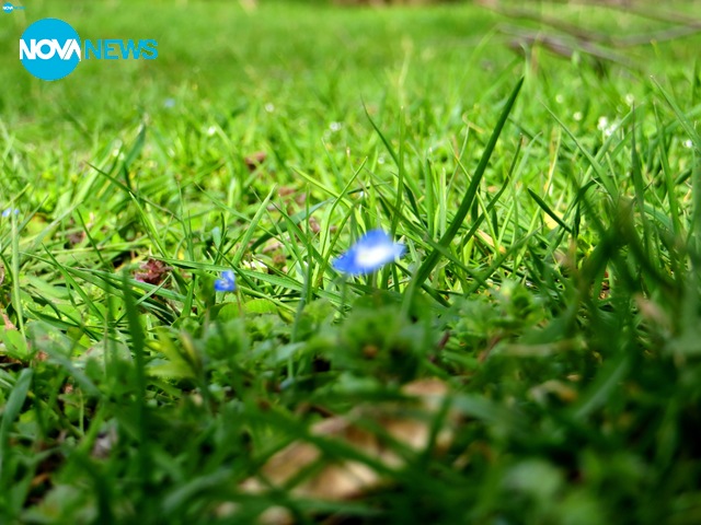 Мартенски красоти