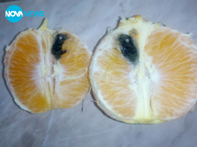 Портокали с отрова