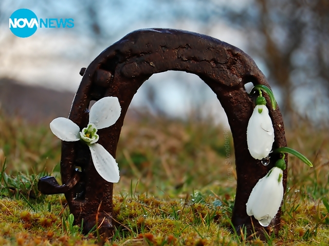 За прогнозата на времето - 4