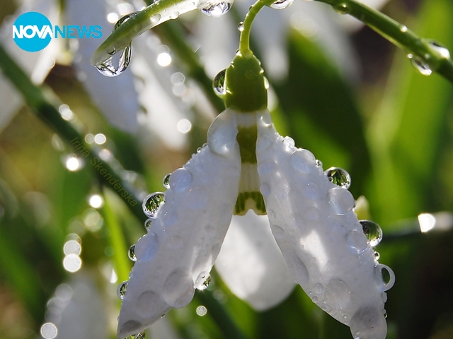 С ухание на пролет