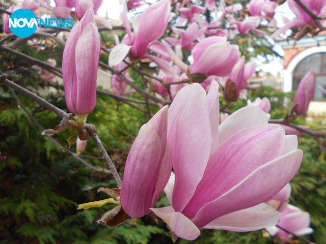 Прогноза за времето