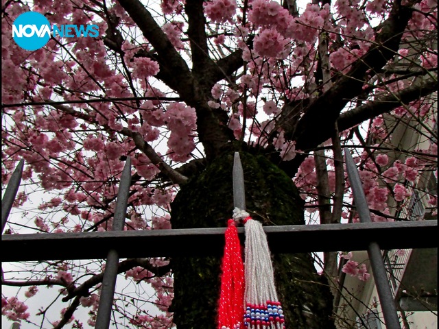 Мартенички