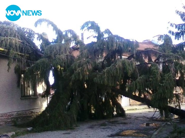 Бурен вятър