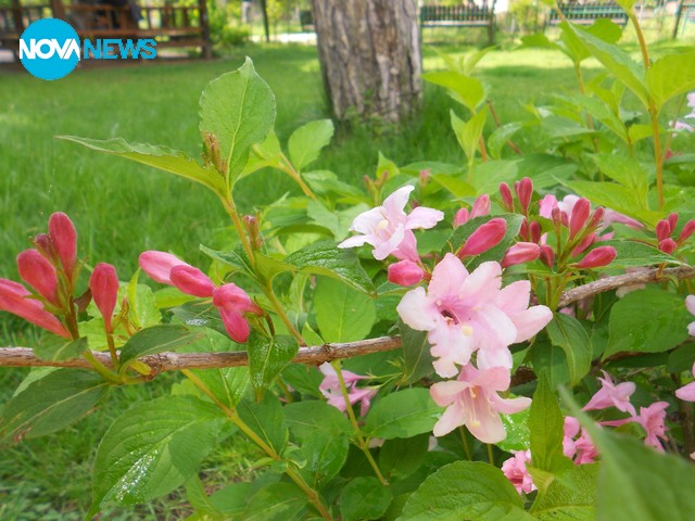Пролетна свежест!