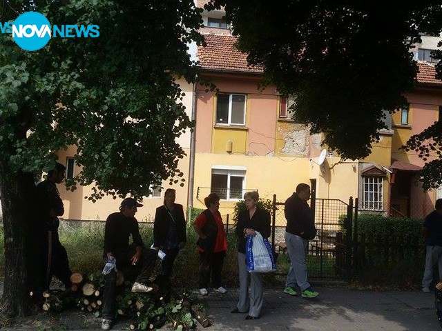 Граждани пазят с телата си липите в Перник